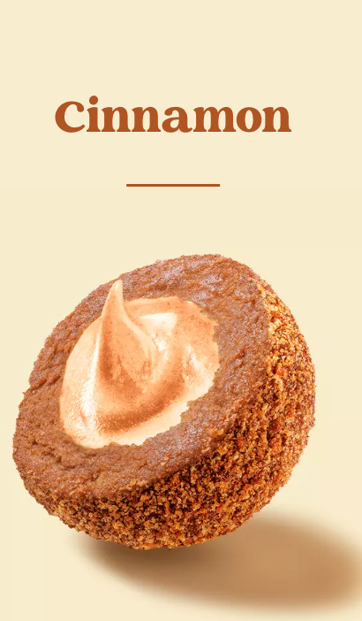 Nuggets Cinnamon